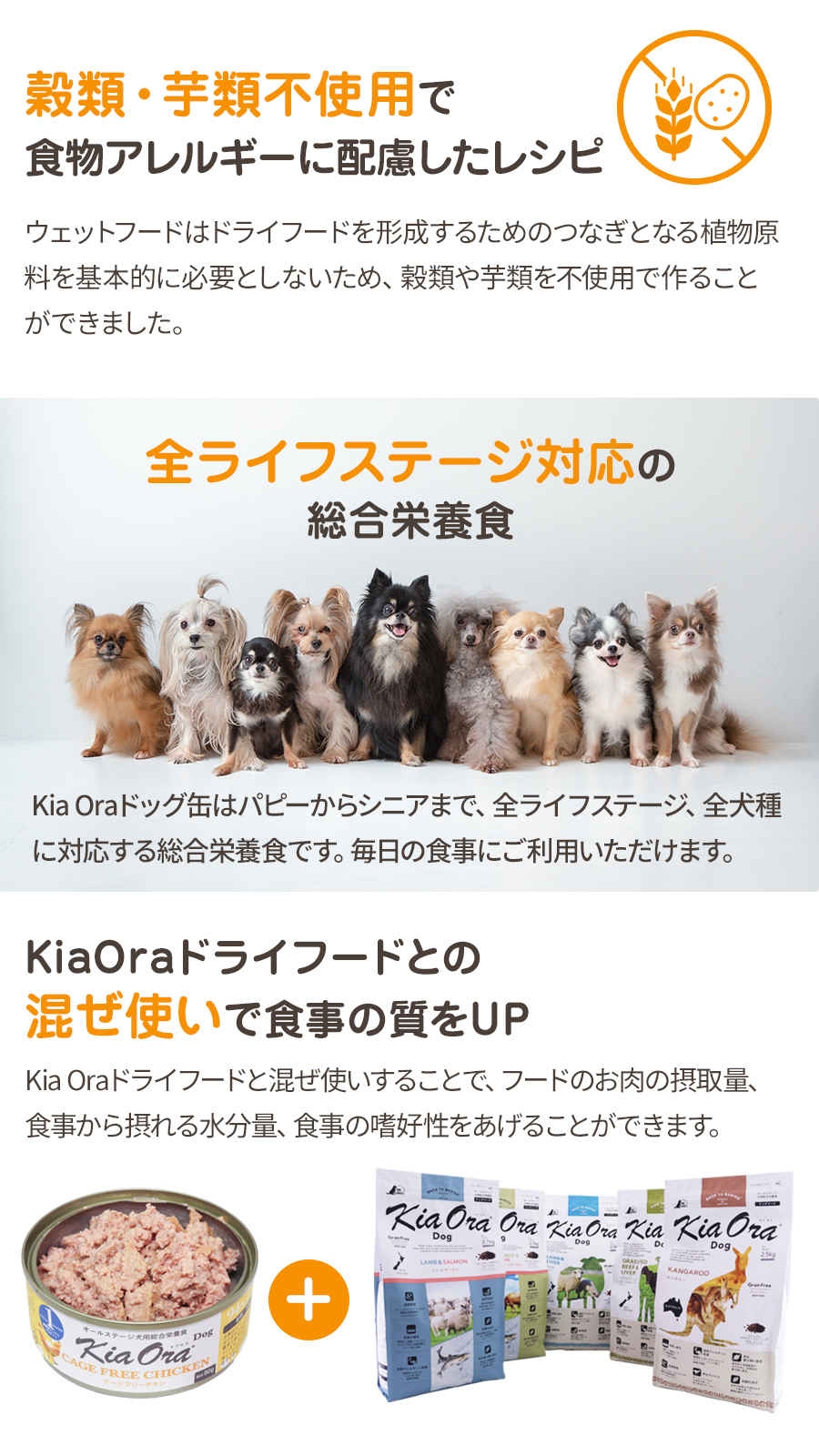 キアオラ ドッグ缶