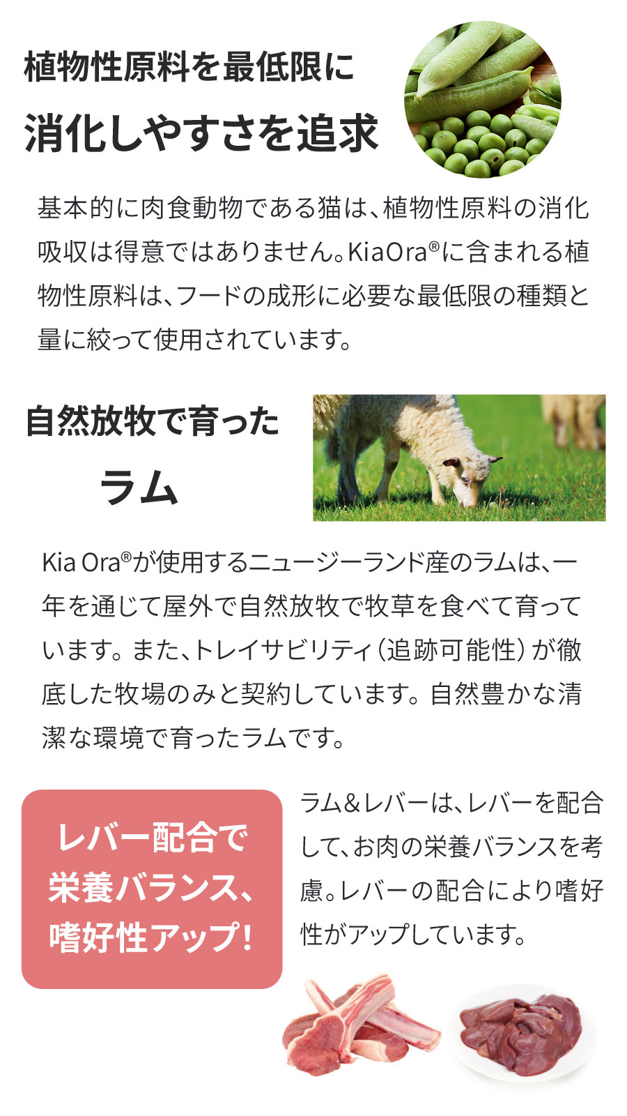 KiaOra CAT ラム&レバー