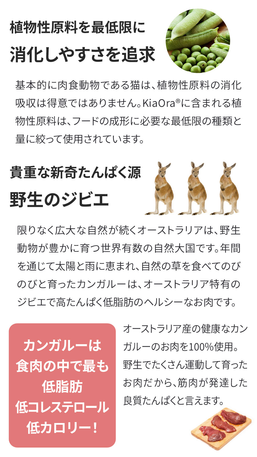 KiaOra CAT カンガルー