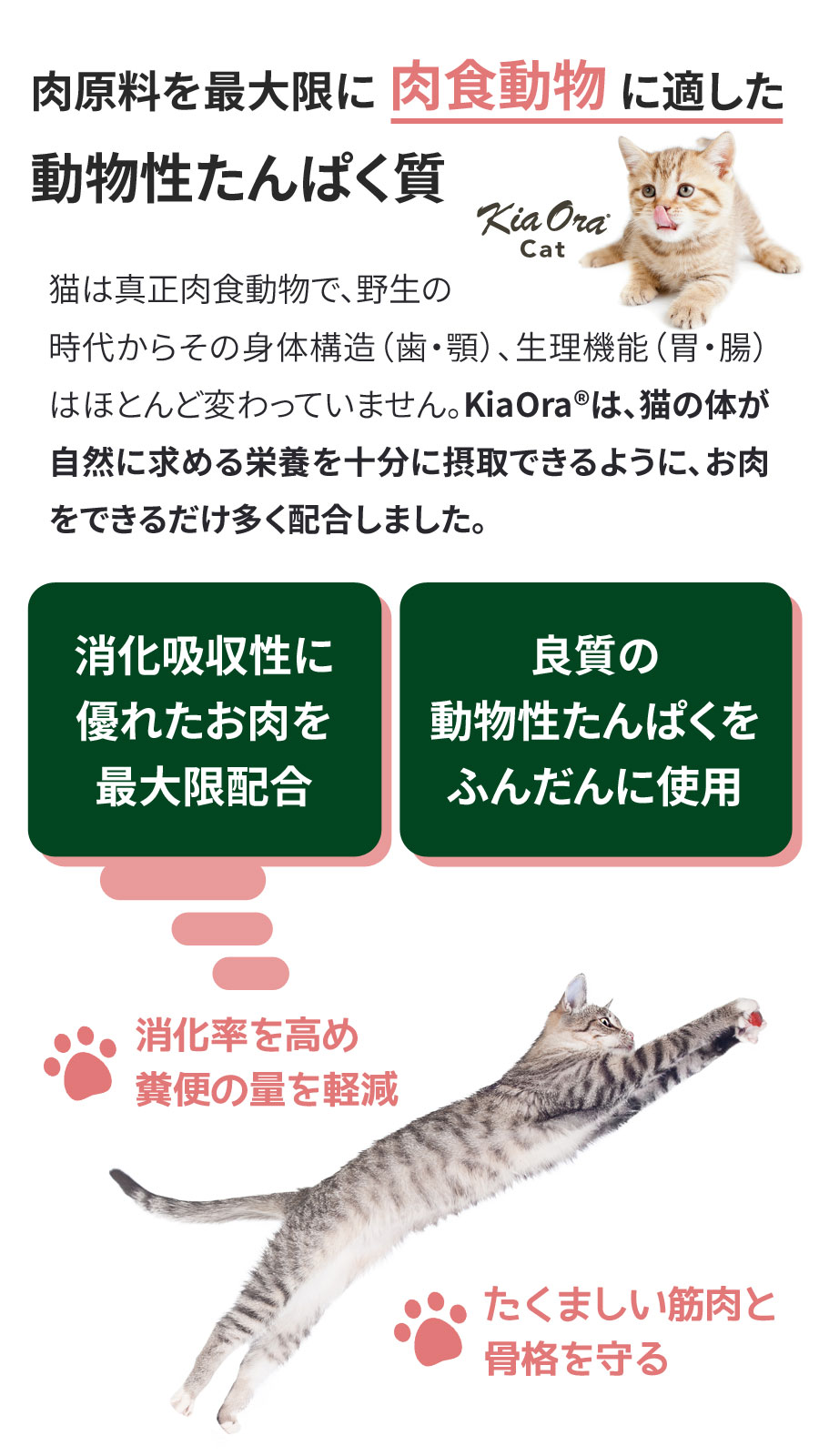 KiaOra CAT ラム&レバー