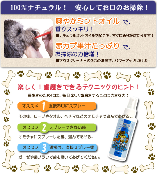 KPS ミントプラス