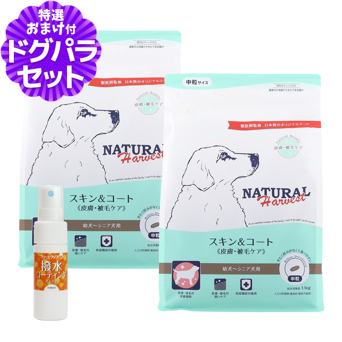 健康的な皮膚・被毛ナチュラルビューティーのための食事