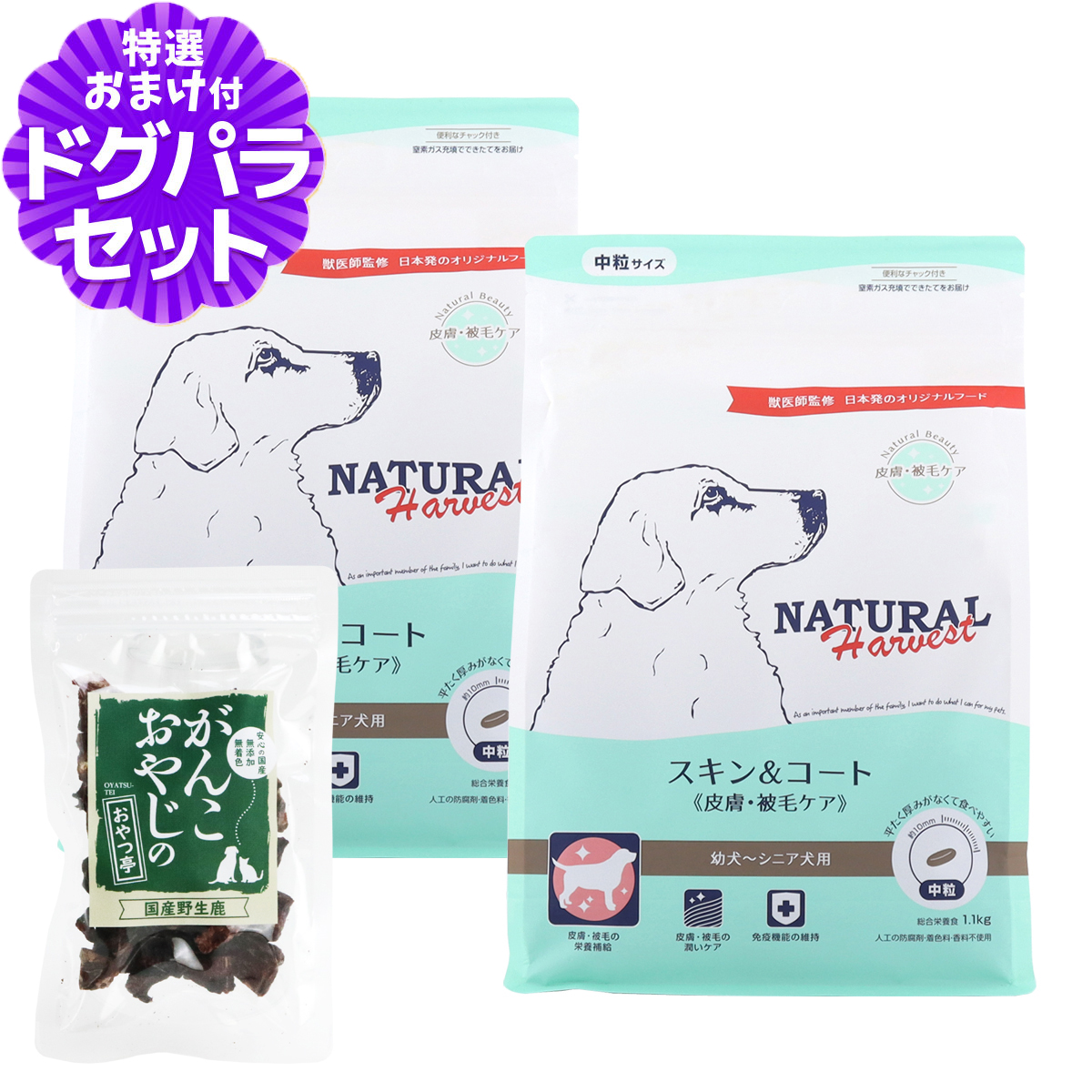健康的な皮膚・被毛ナチュラルビューティーのための食事