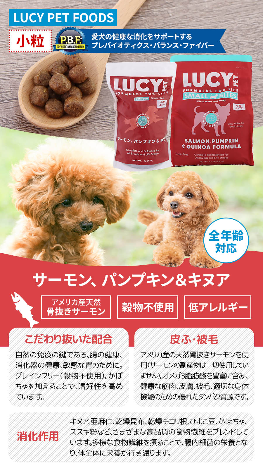 ルーシーペット サーモン・パンプキン＆キヌア小粒