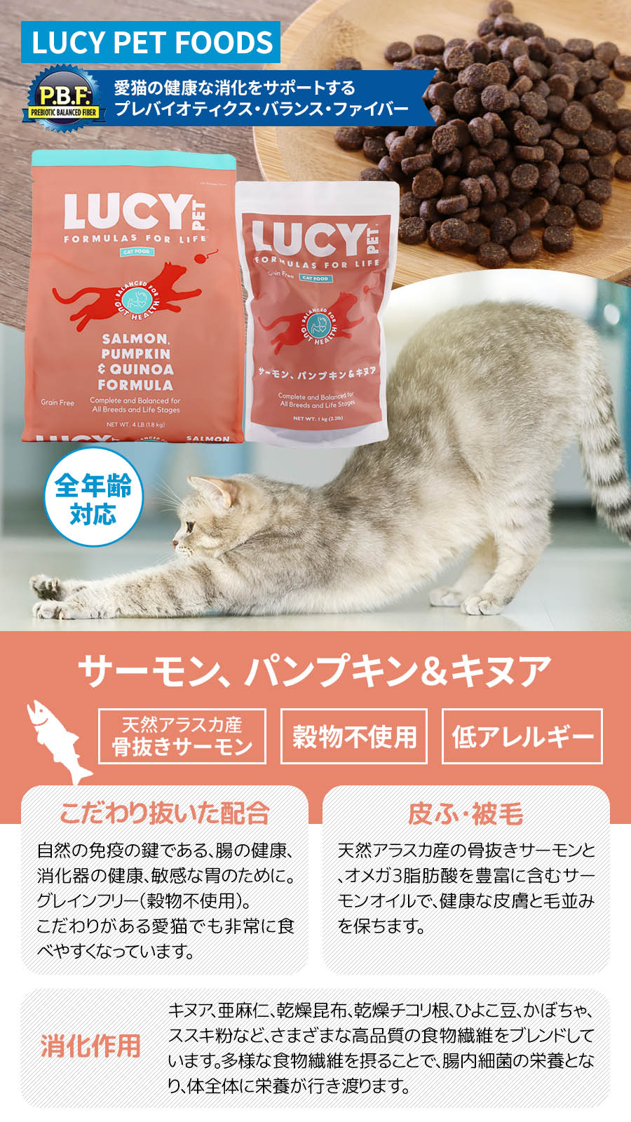 ルーシーペット サーモン・パンプキン＆キヌア