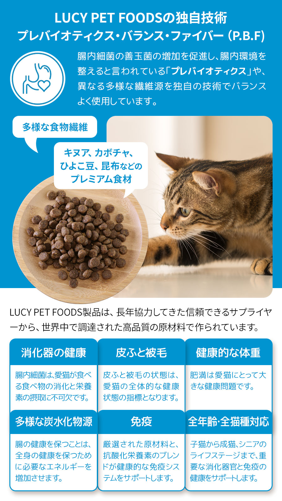 ルーシーペット