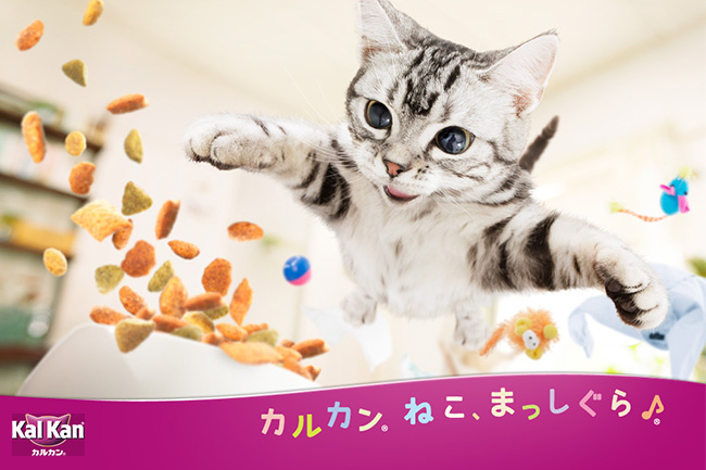 マースジャパンリミテッド