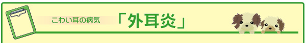外耳炎
