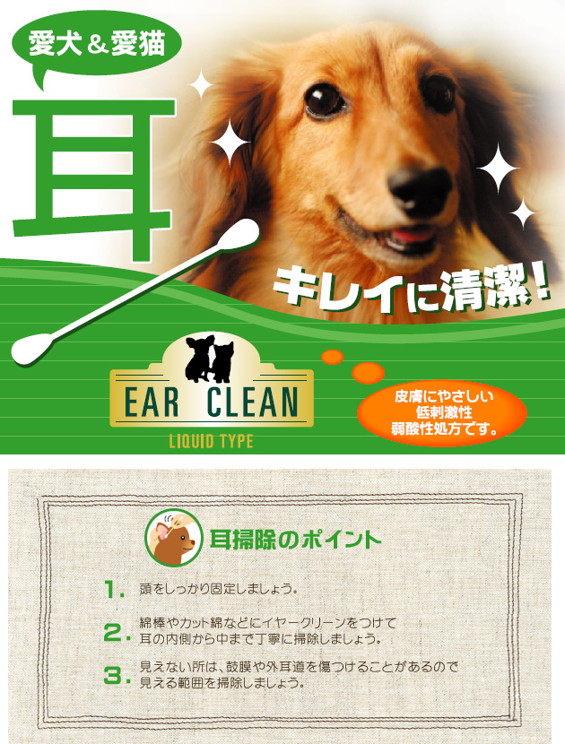 イヤークリーンリキッド 100ml