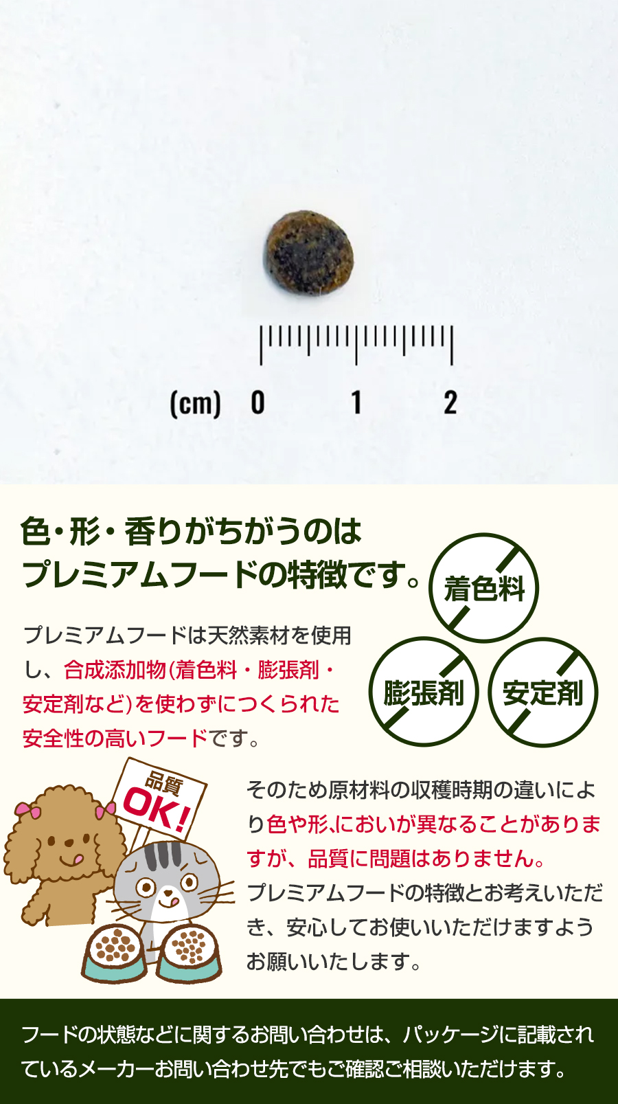 粒画像
