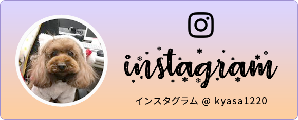 ドッグパラダイス蒲生西口サロンインスタグラム instagram