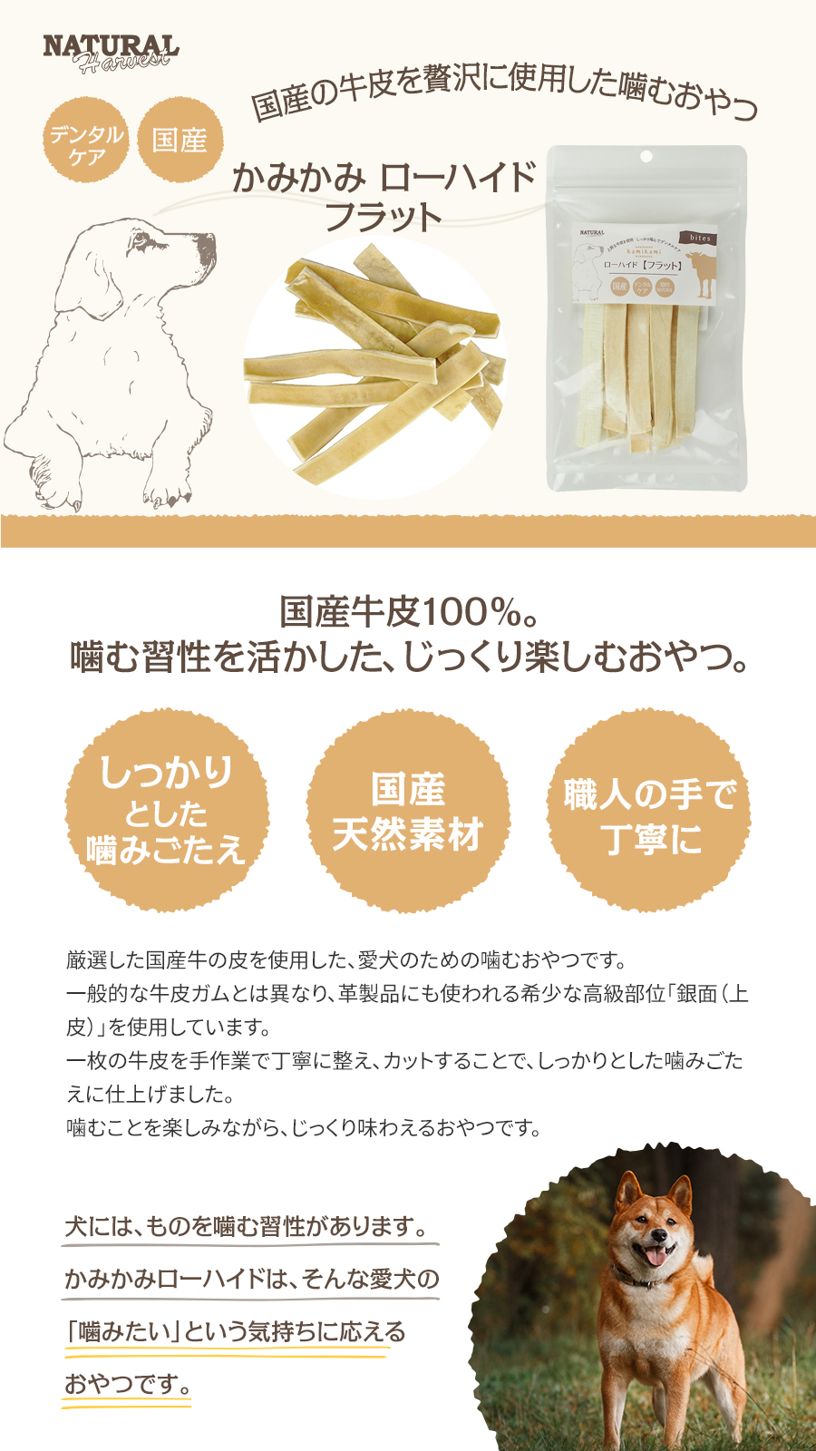 ローハイド フラット