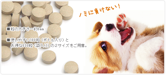 ナチュラルハーベスト ガーリックイースト