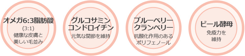 特長