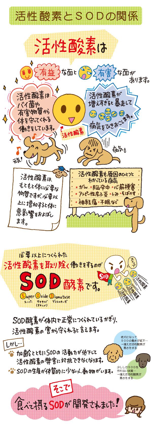 動物用サプリメント バランスプラス