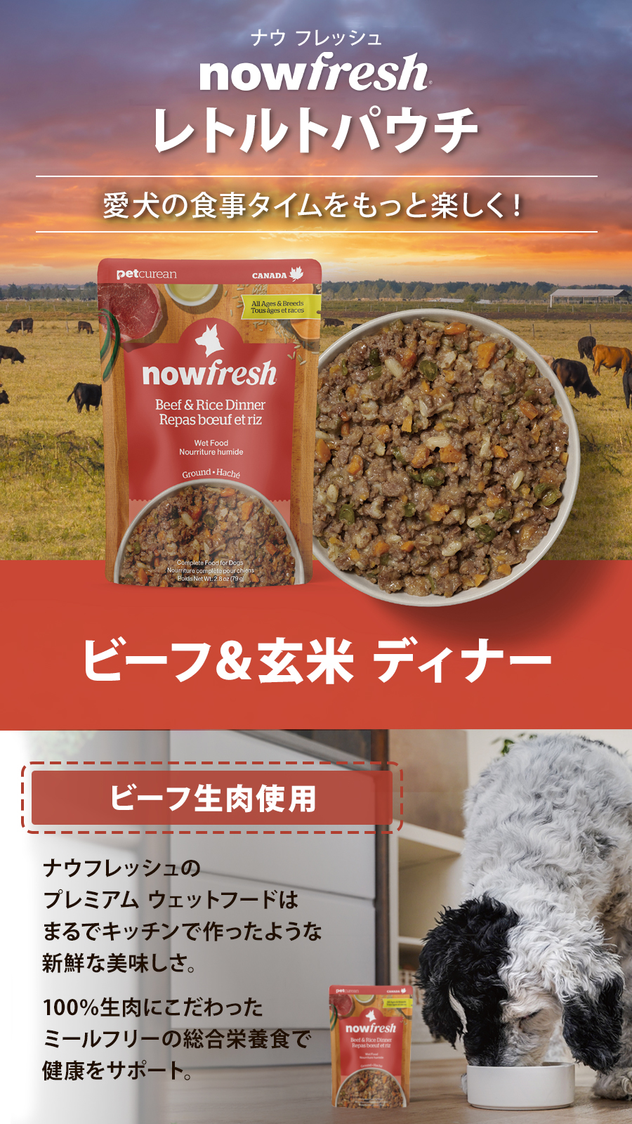 ビーフ＆玄米 ディナー