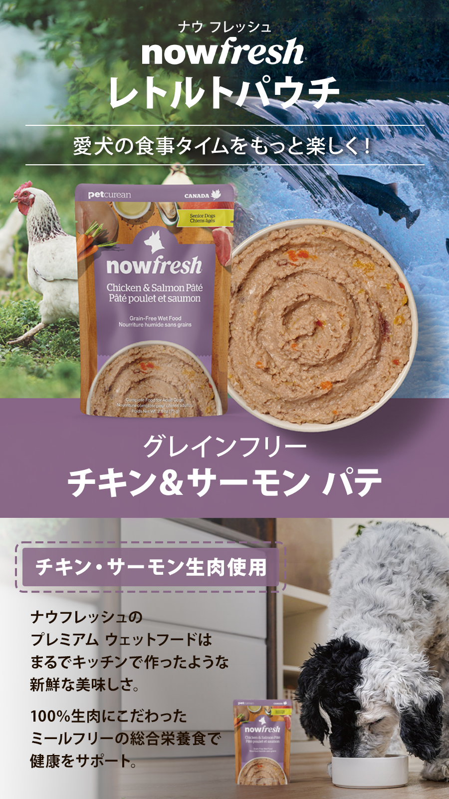 チキン＆サーモン パテ