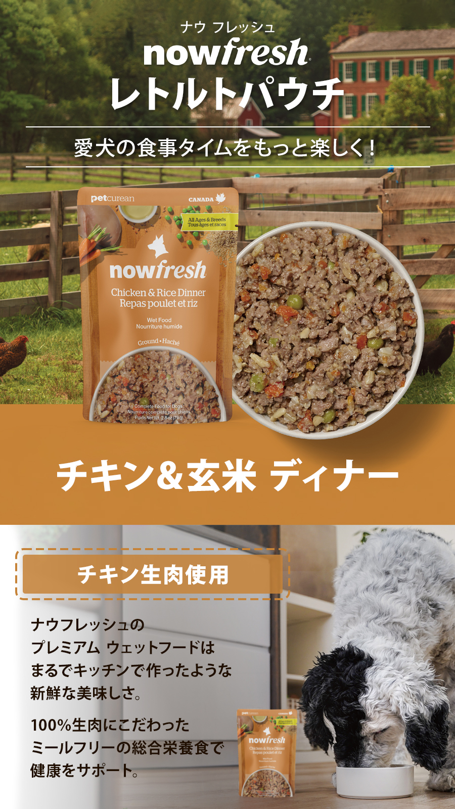 チキン＆玄米 ディナー