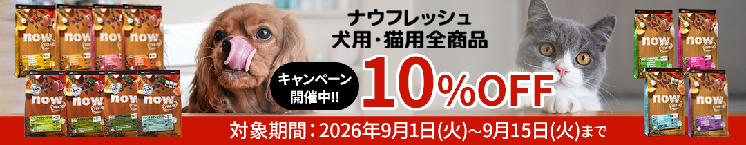 NOW FRESH ナウ フレッシュキャンペーン