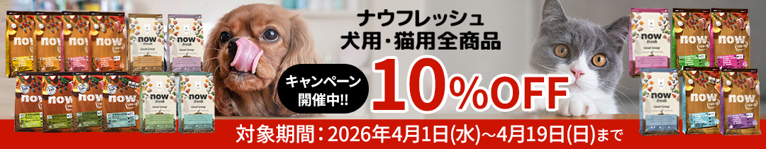 2026キャンペーン犬