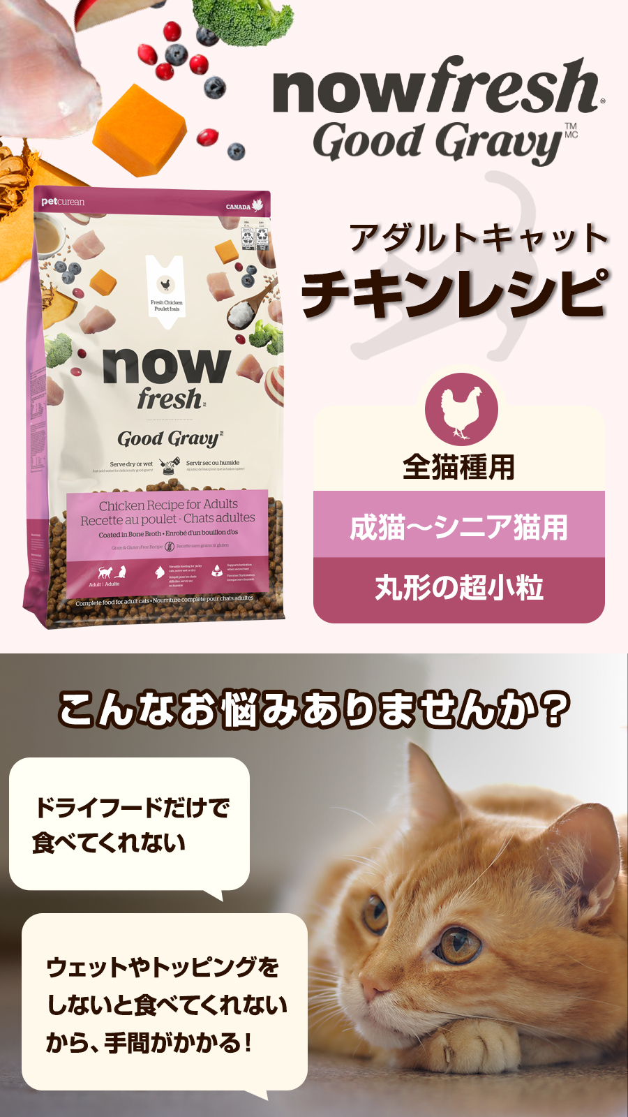 グッドグレービー 猫 キャット