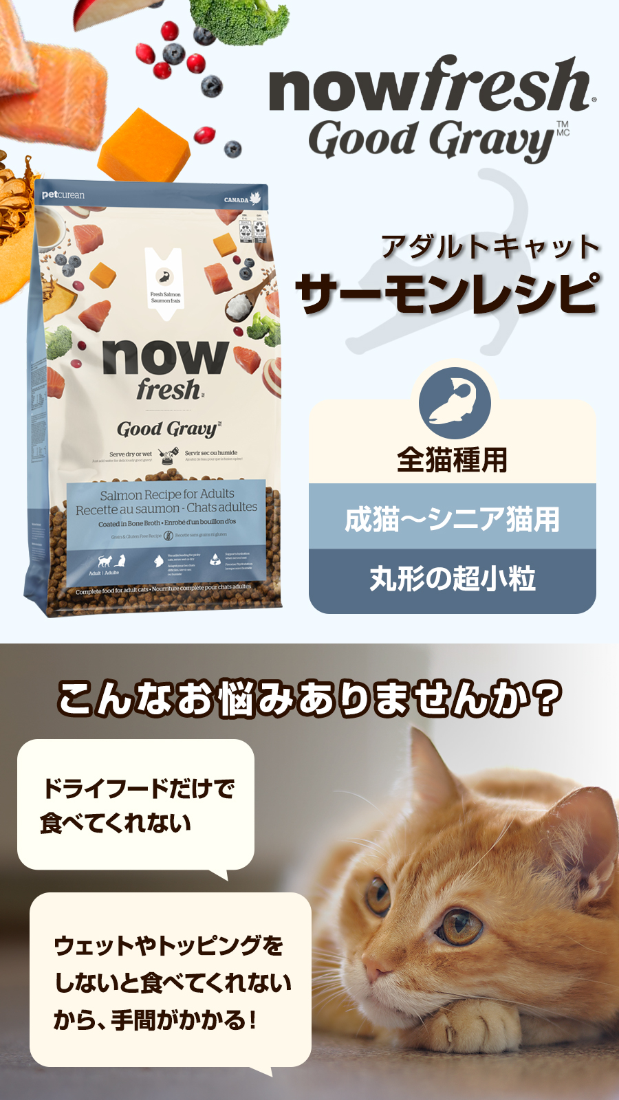 グッドグレービー 猫 キャット