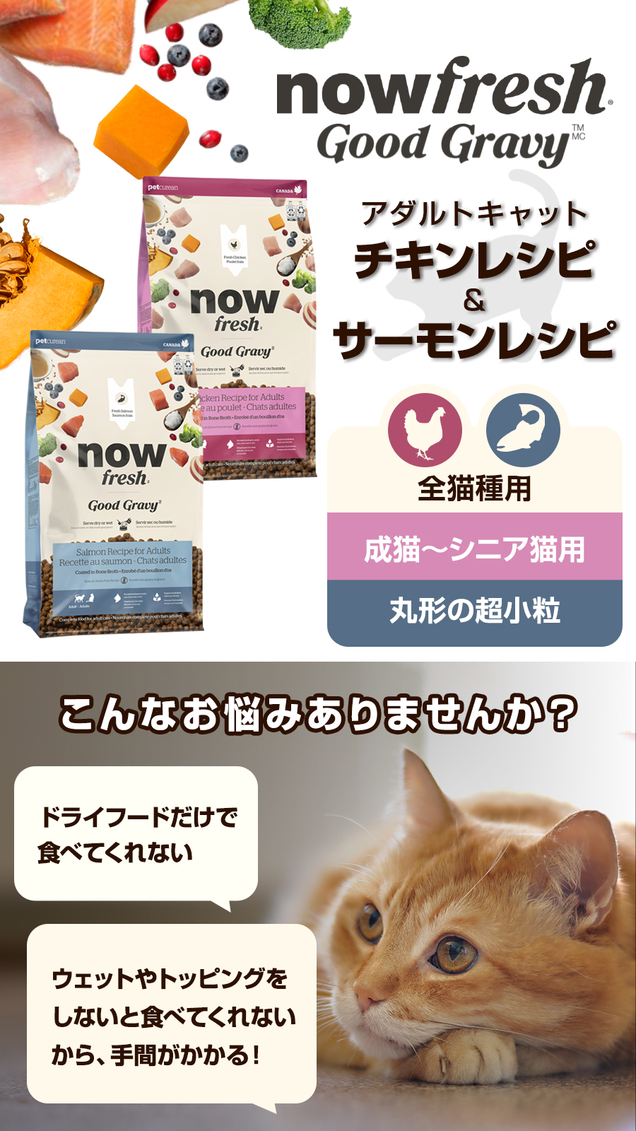 グッドグレービー 猫 キャット