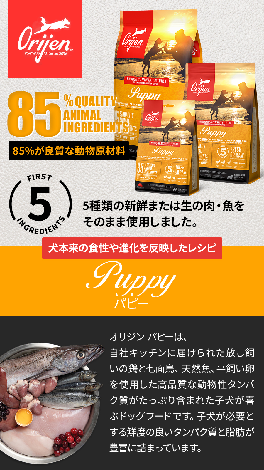 オリジン パピー 6kg