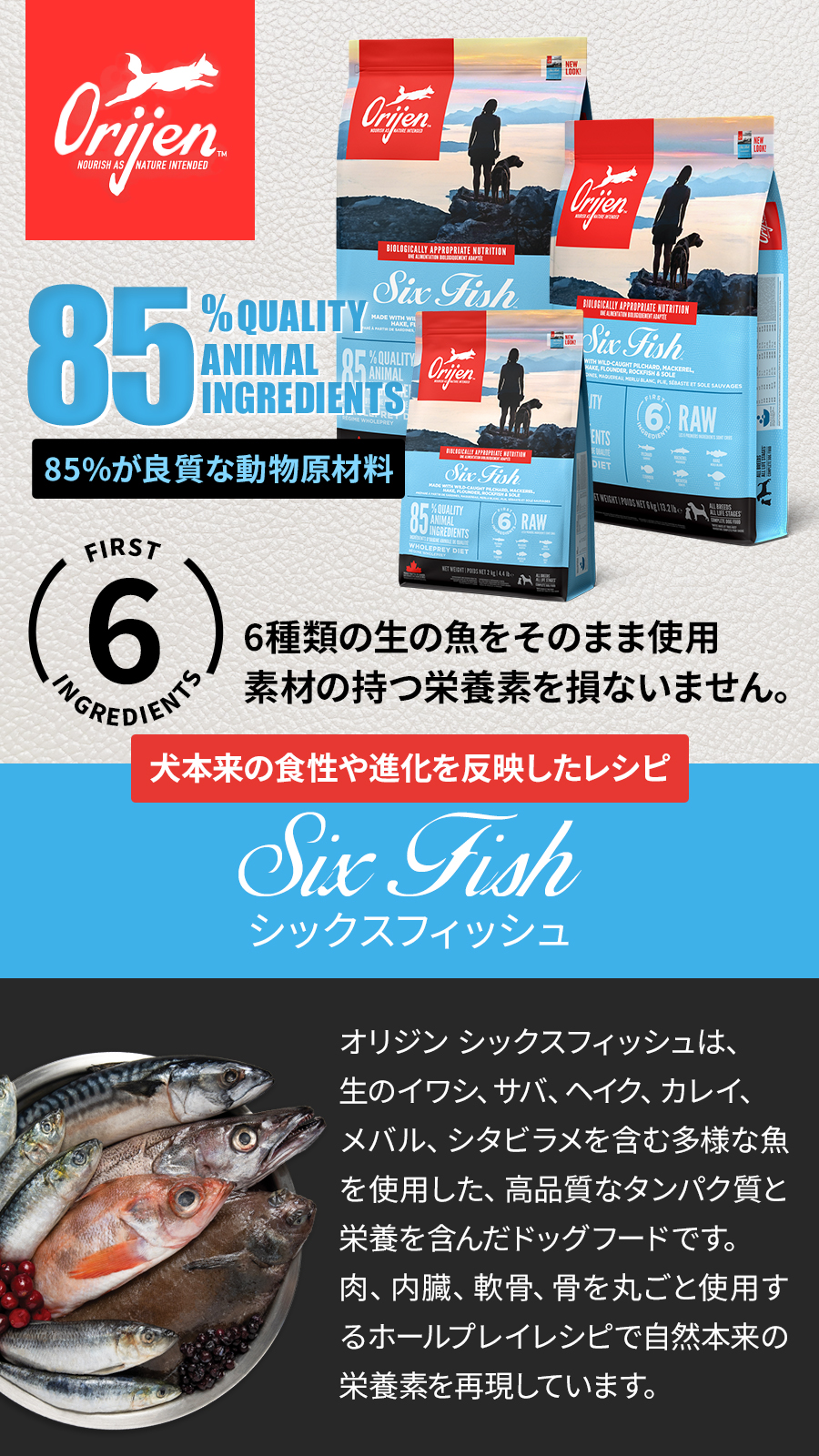 シックスフィッシュ