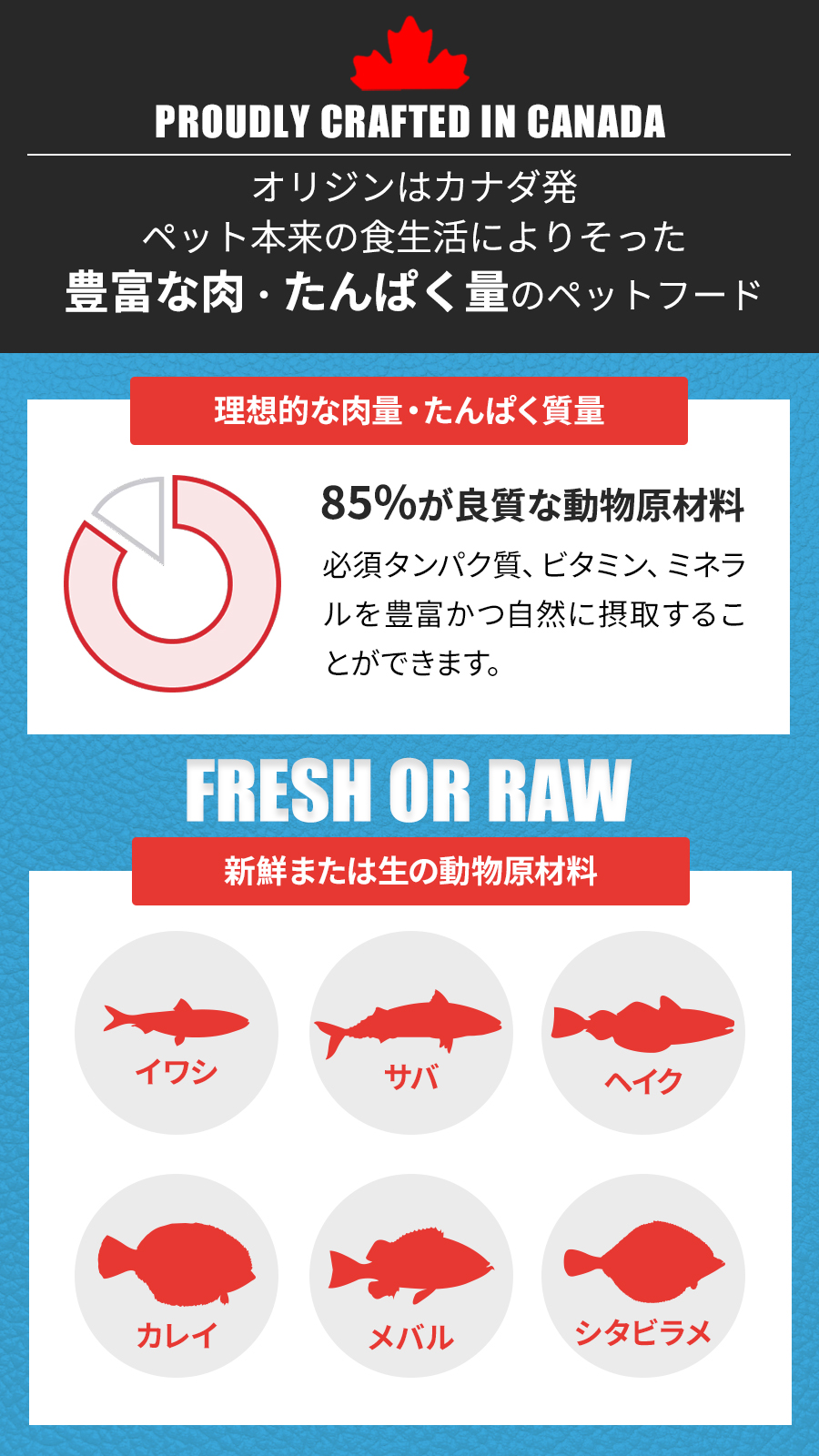 シックスフィッシュ