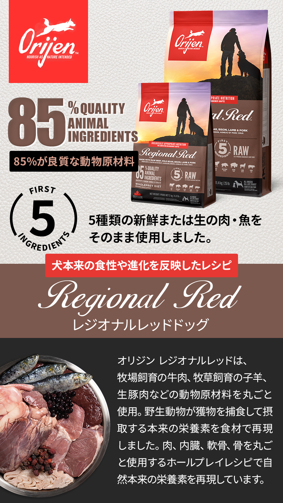 レジオナルドッグ