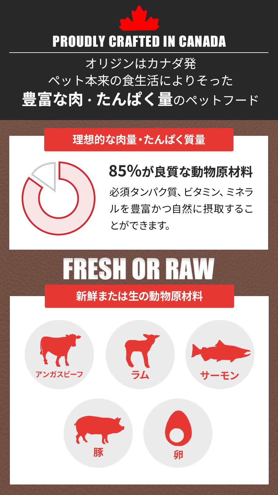 レジオナルドッグ