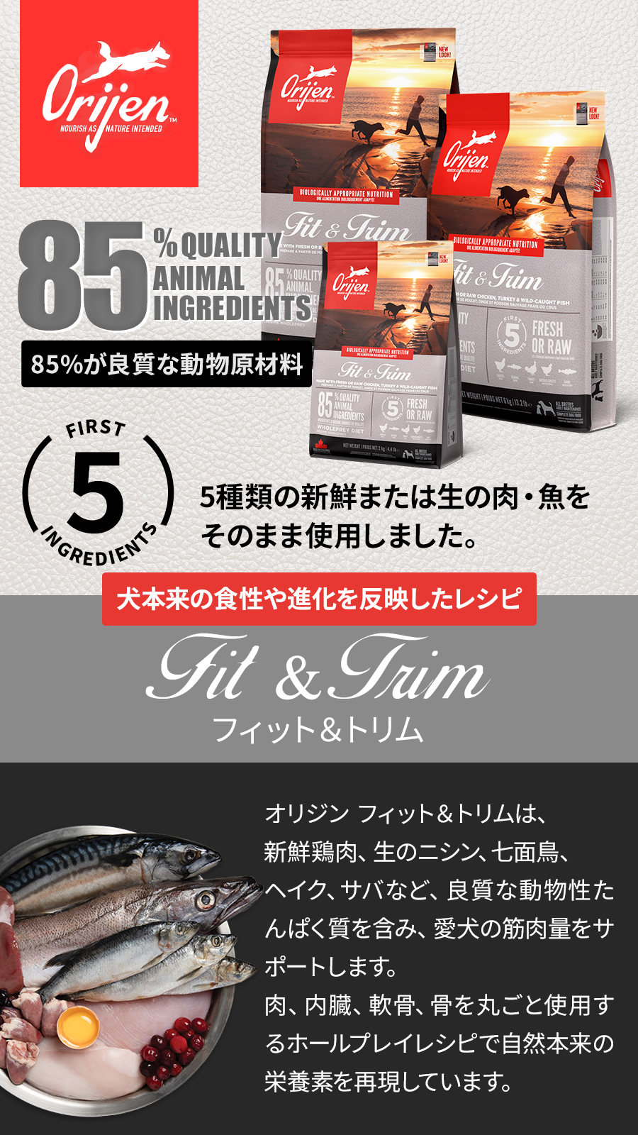 フィット＆トリム