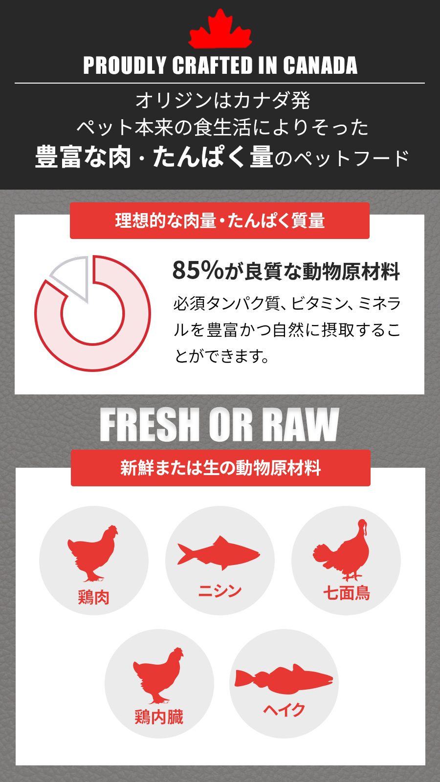 フィット＆トリム