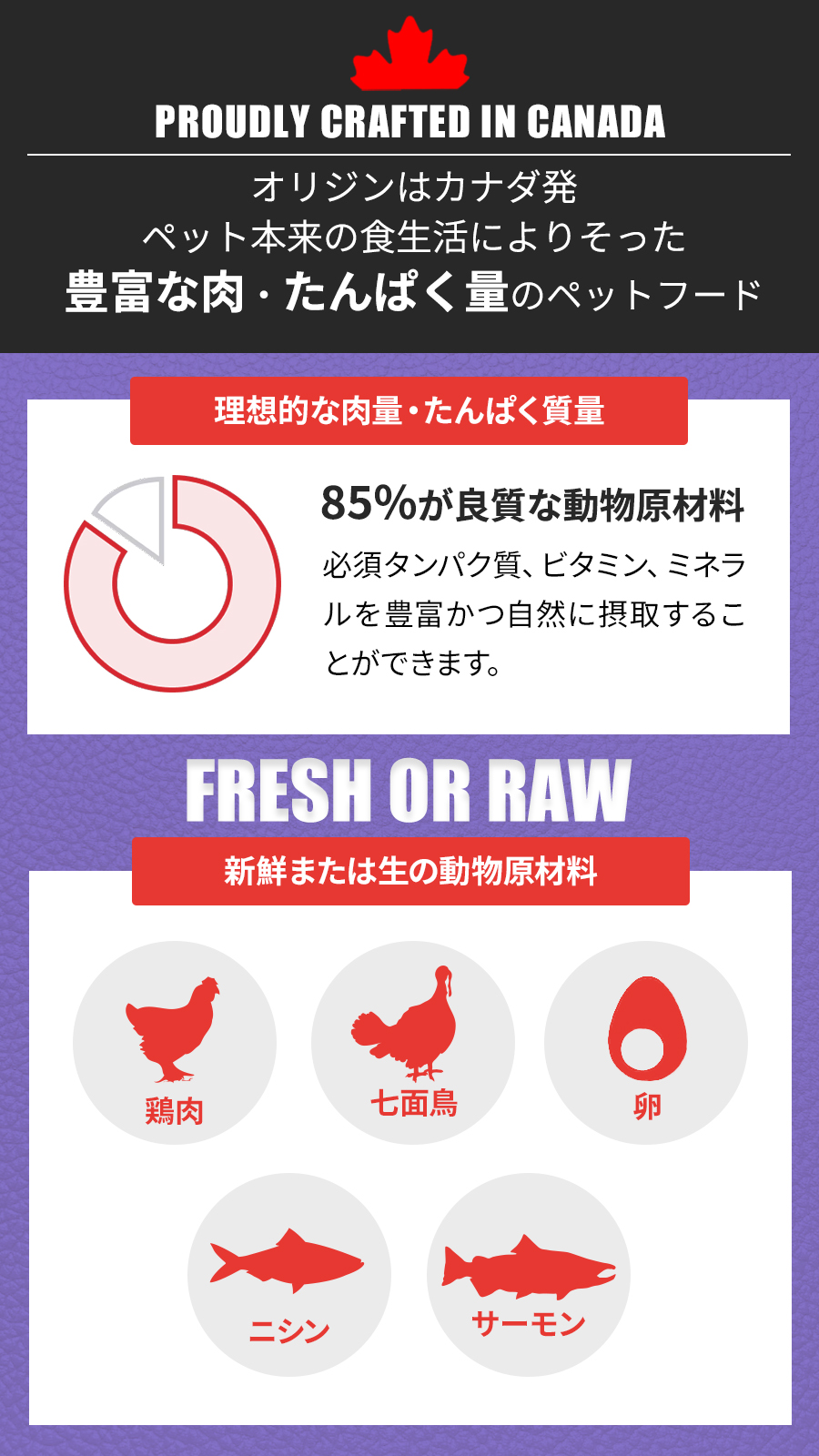 ラージブリードアダルト