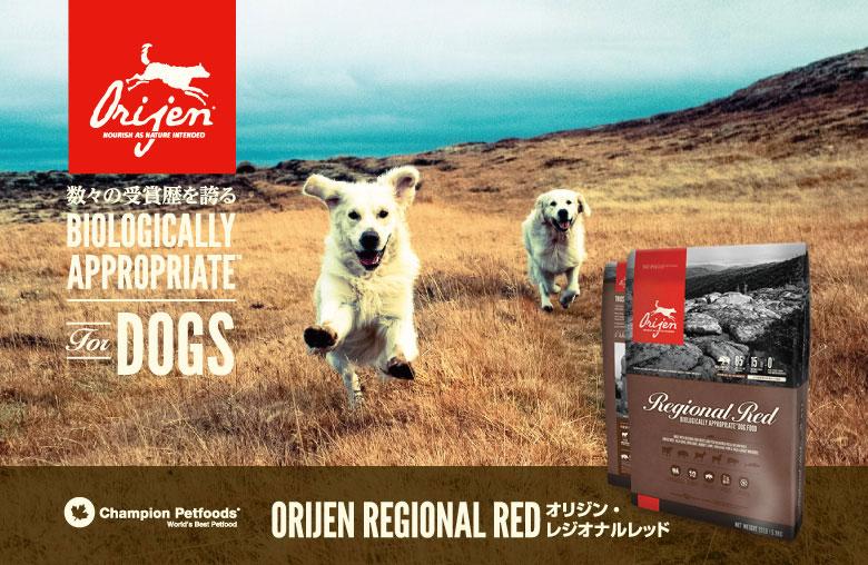 Orijen オリジン・オリジナルドッグフード−数々の受賞歴を誇る
