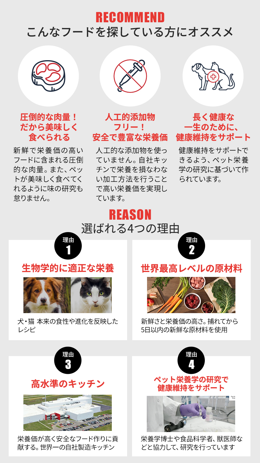 スモールブリード マリンフィッシュ