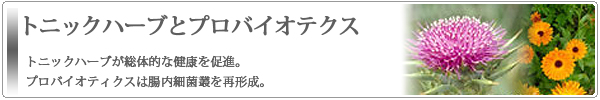 健康のためのトニックハーブとプロバイオティクス