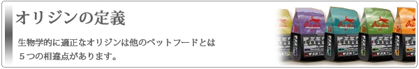 オリジンの定義