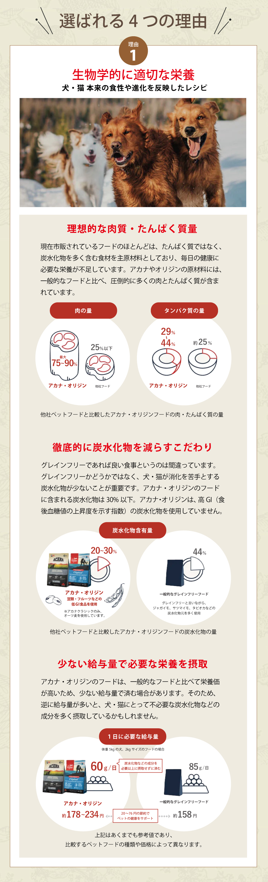オリジン　ドッグ