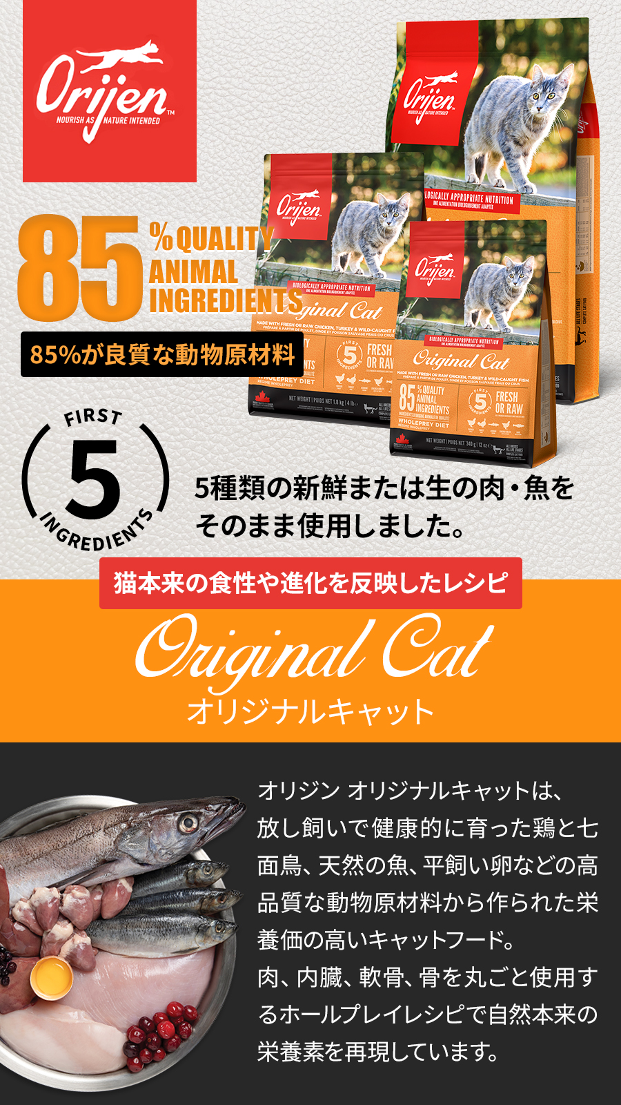 オリジナル キャット