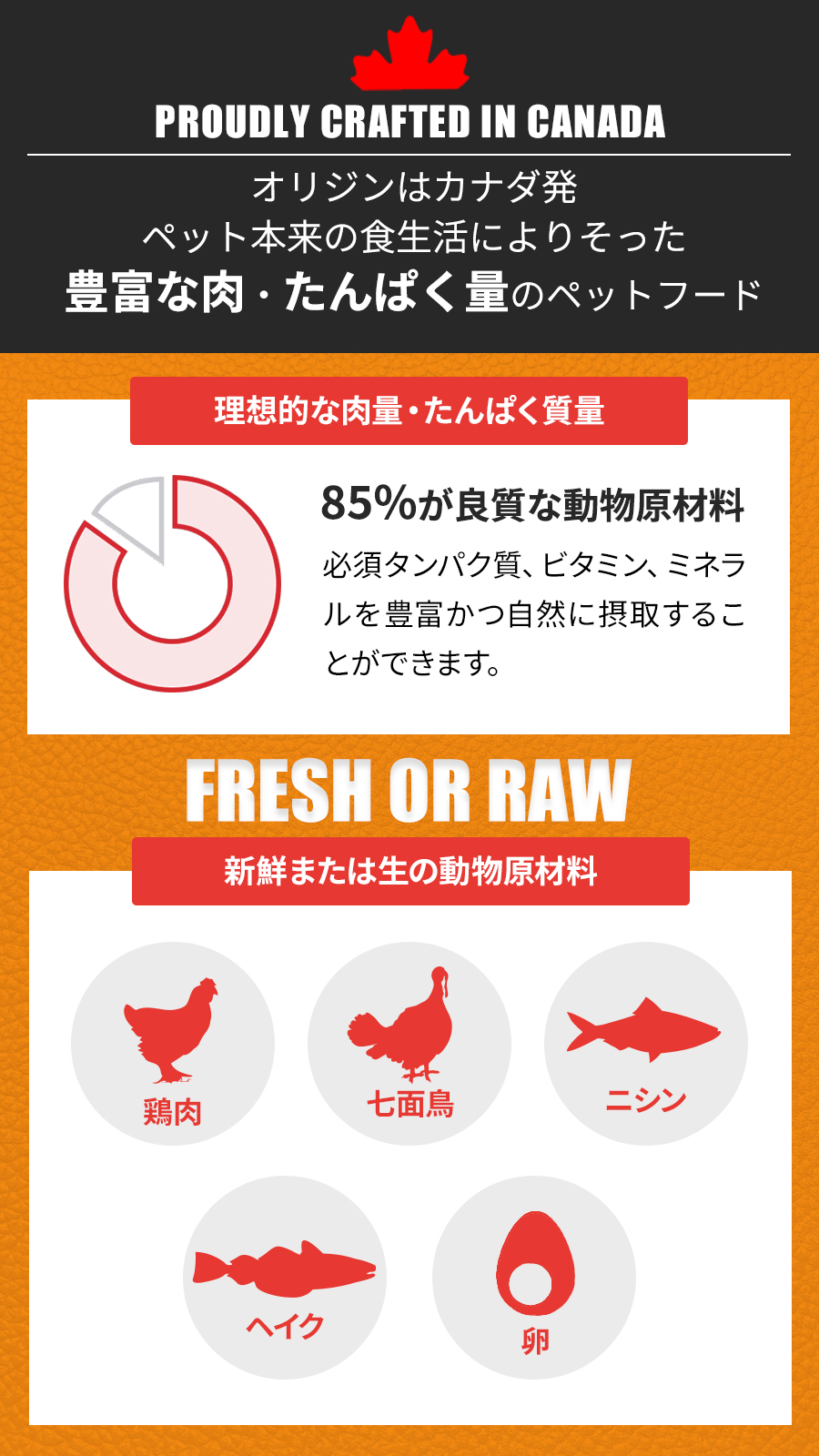 オリジナル キャット