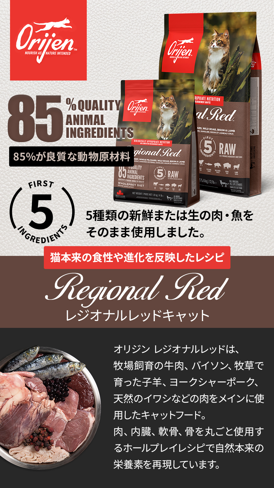 レジオナル　キャット