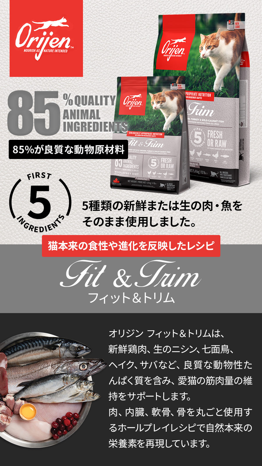 フィット＆トリム　キャット