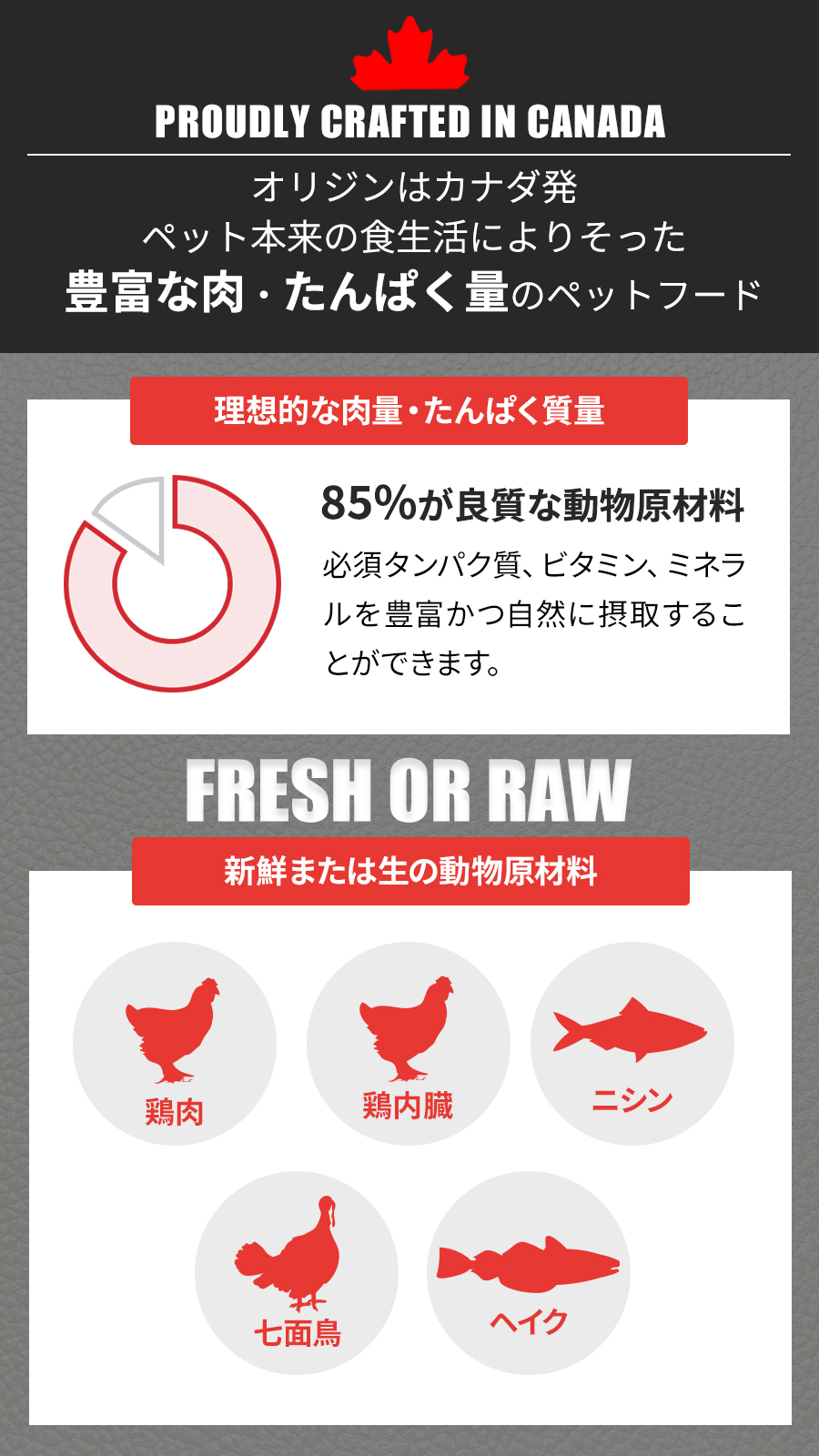 フィット&トリム キャット