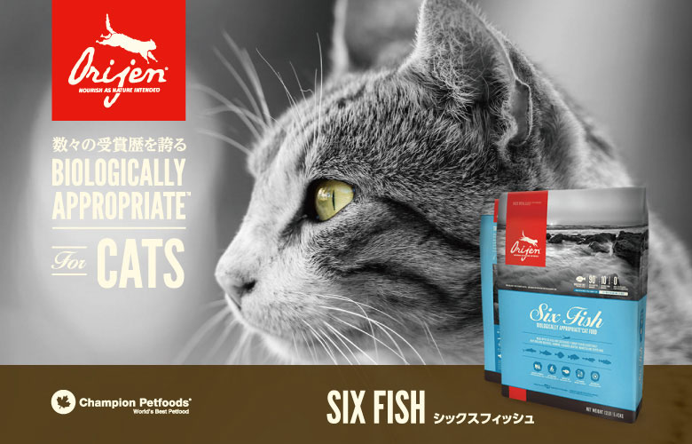 オリジン 6フィッシュ キャット