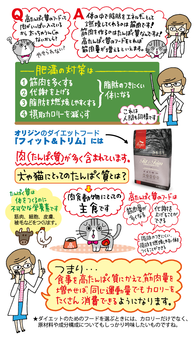 高タンパク質のフード