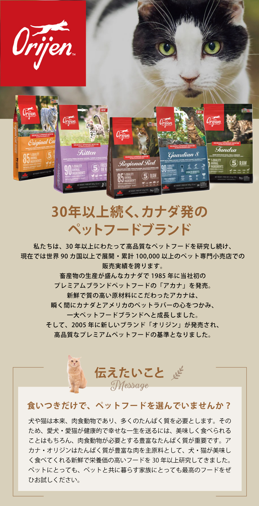 オリジン　キャット