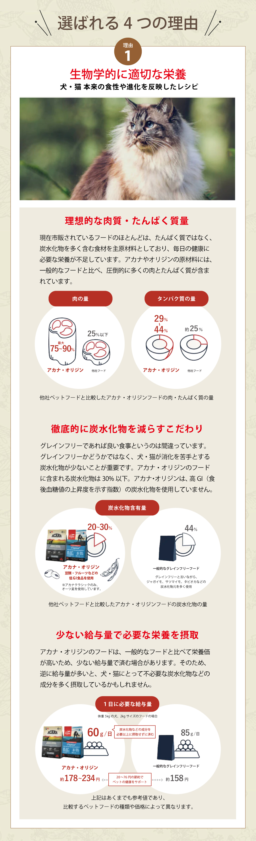 オリジン　キャット