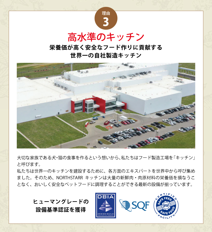 オリジン　キャット